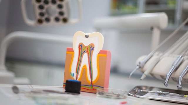 Endodontic Office in Hackensack